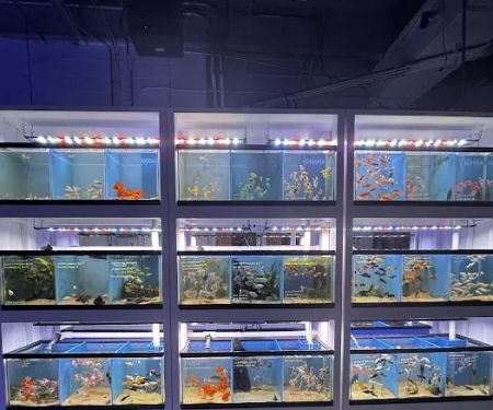Harry's Marine Life Burbank