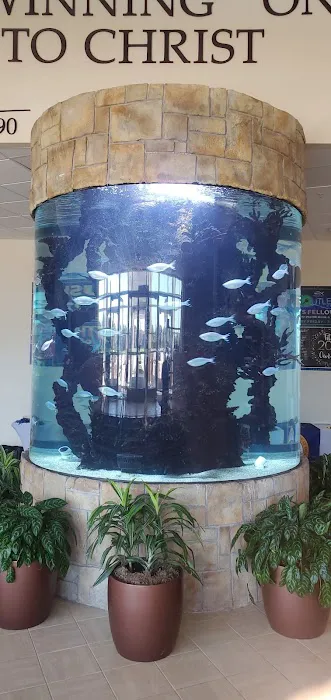 Harry's Marine Life Burbank Picture 4