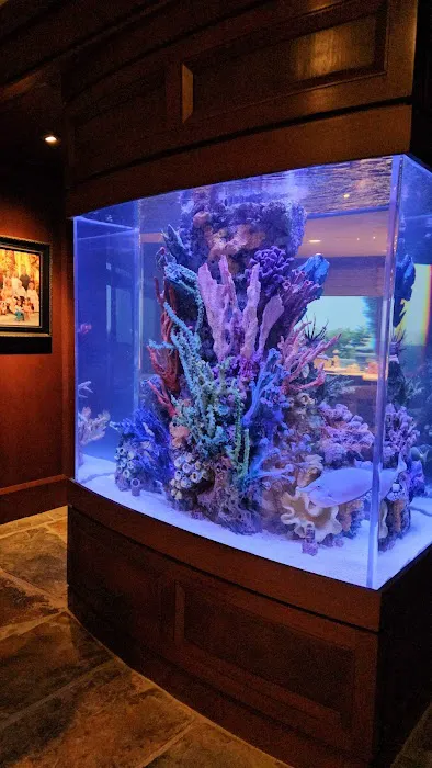 Harry's Marine Life Burbank Picture 7