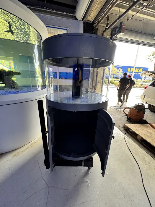 Harry's Marine Life Burbank Picture 10