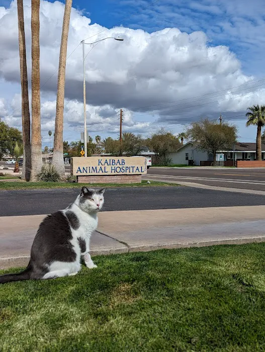 Kaibab Animal Hospital Picture 9