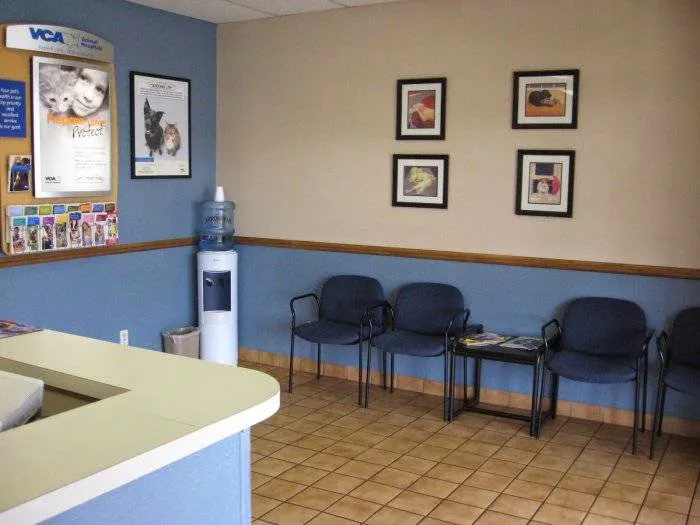 VCA Mountain View Animal Hospital Picture 6