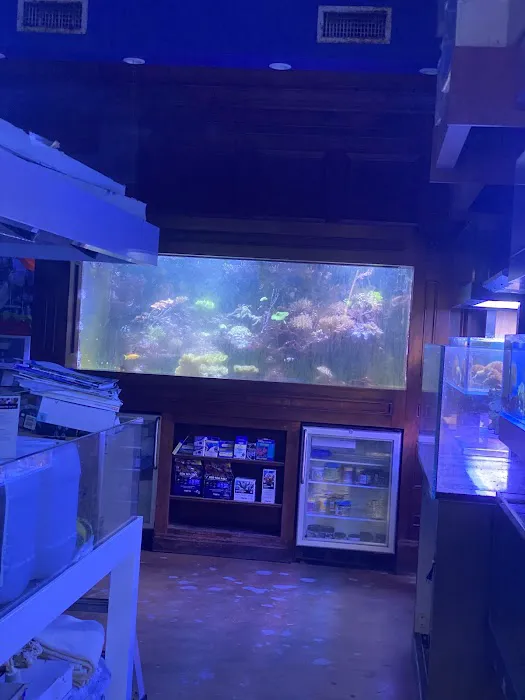 SPS Coral Store Picture 2