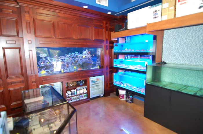 SPS Coral Store Picture 1