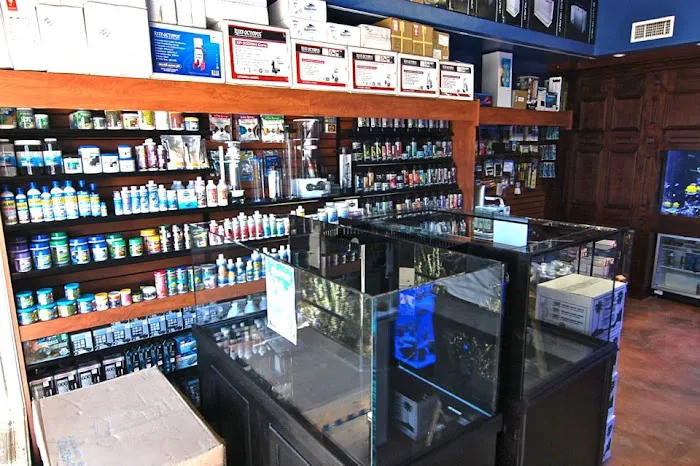 SPS Coral Store Picture 6