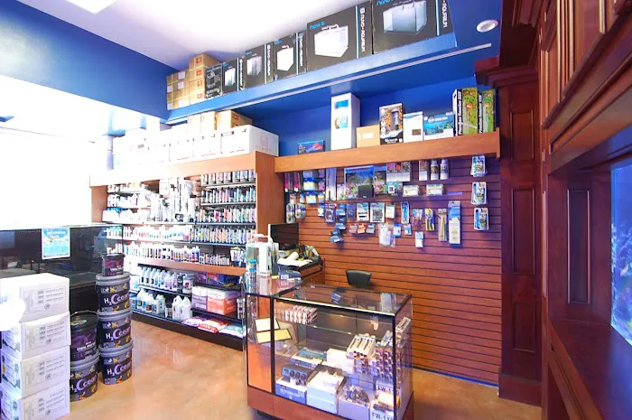 SPS Coral Store Picture 3