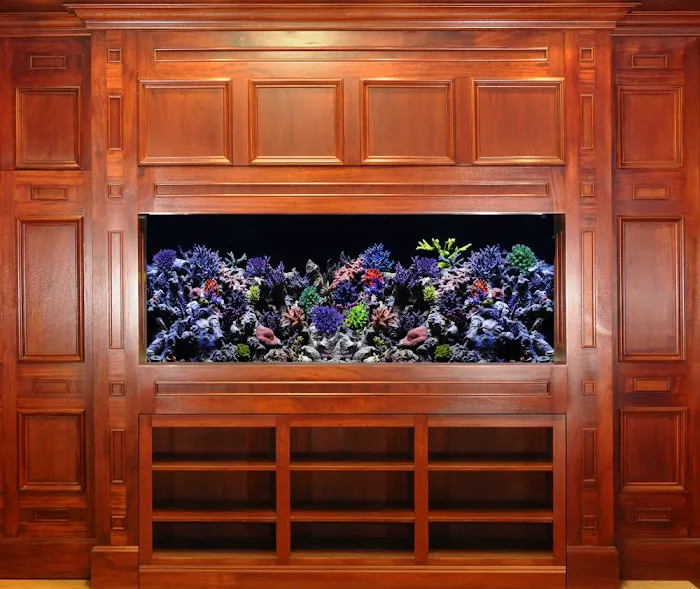 SPS Coral Store Picture 7