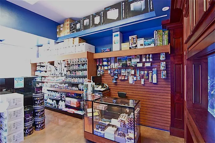 SPS Coral Store Picture 9