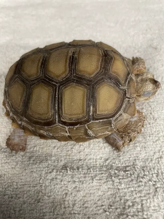 Western Animal Hospital Picture 7