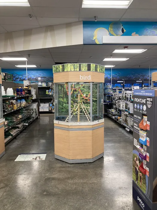 Petco Picture 8