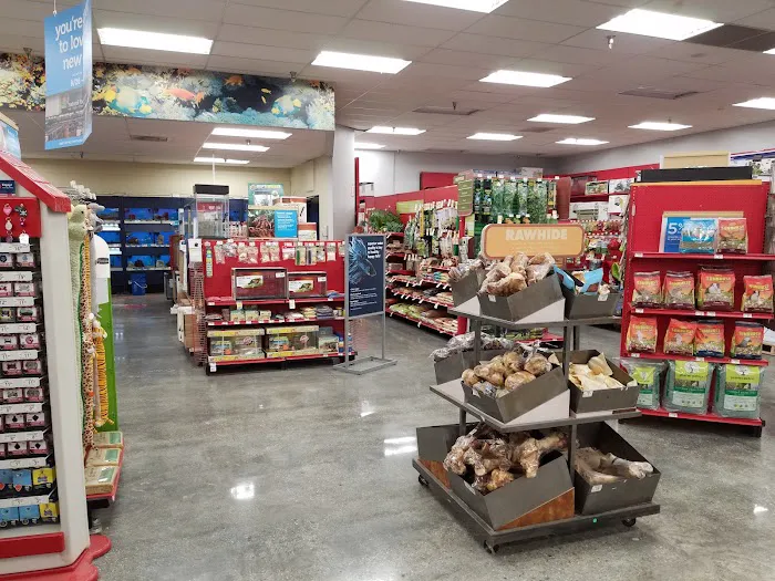 Petco Picture 9