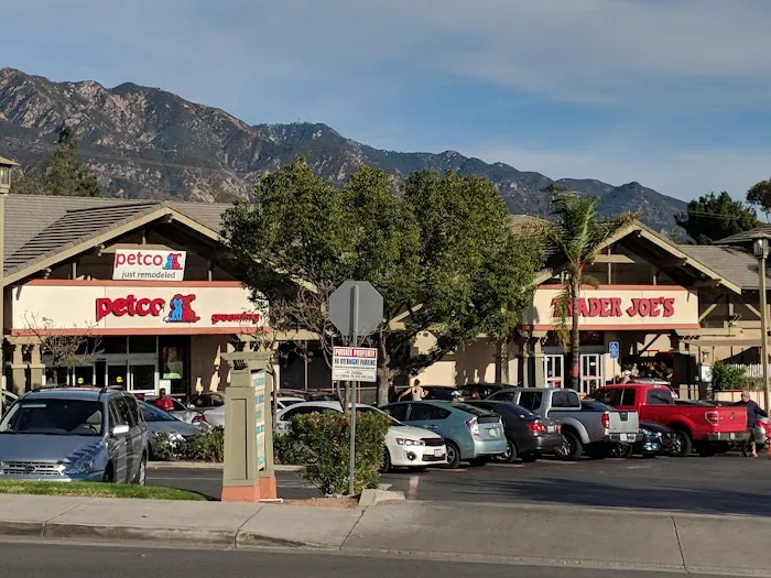 Petco Picture 10