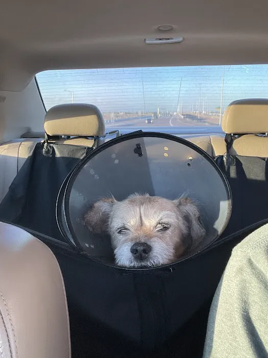 Glendale Animal Hospital Picture 7