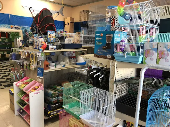Chavez Pets Supplies Picture 3