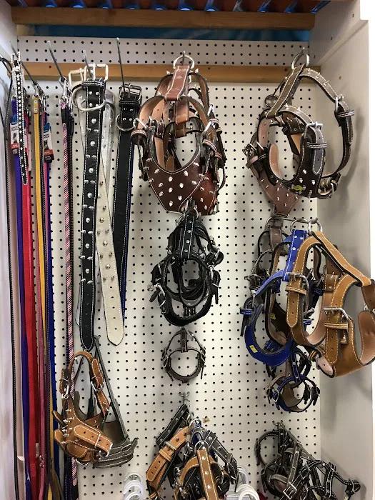 Chavez Pets Supplies Picture 4