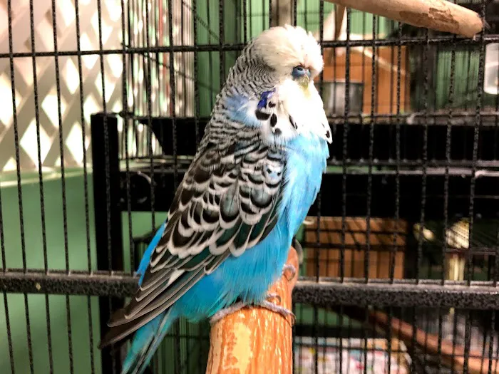 Chavez Pets Supplies Picture 5
