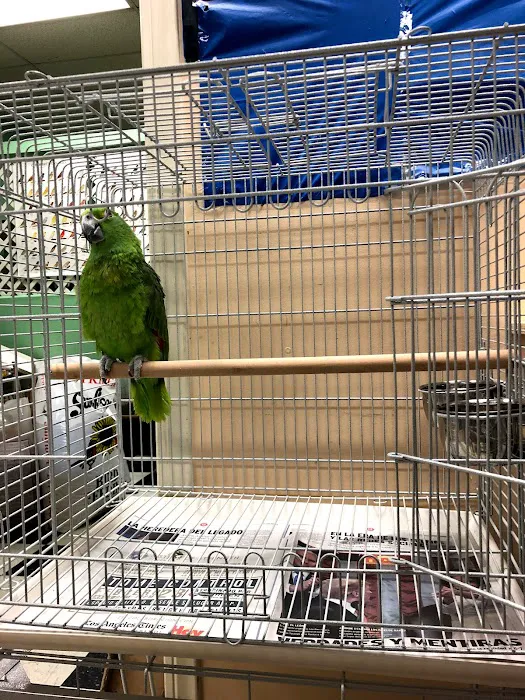 Chavez Pets Supplies Picture 7