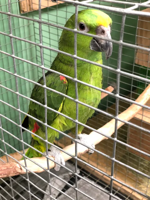 Chavez Pets Supplies Picture 9