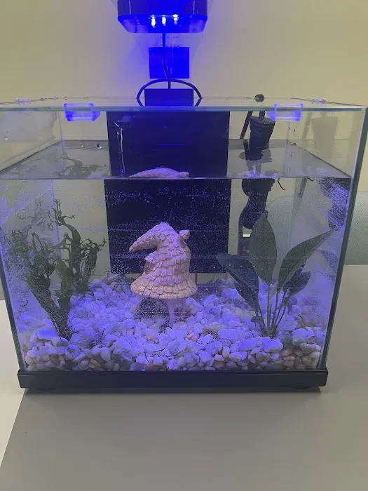 Petco Picture 2