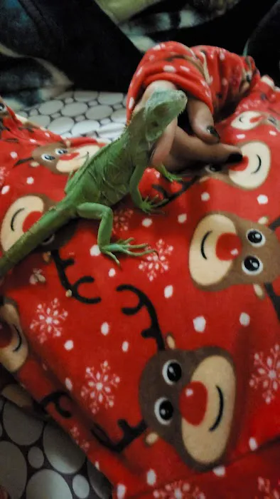 Petco Picture 1