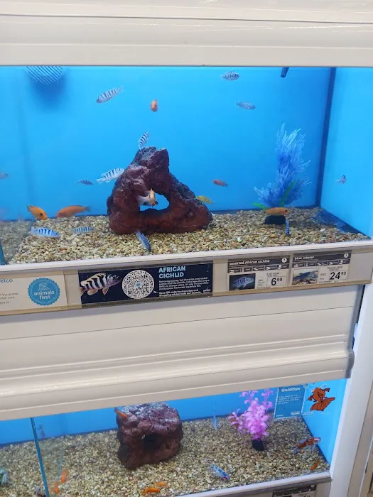 Petco Picture 5