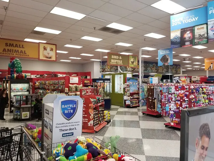 Petco Picture 7