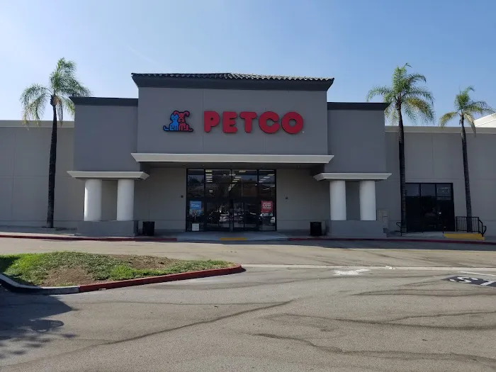 Petco Picture 6