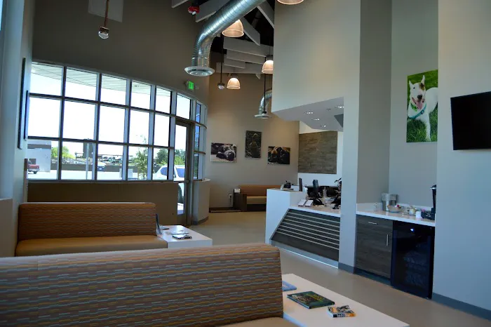 Southwest Veterinary Surgical Service, PC Picture 2