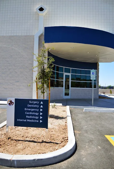 Southwest Veterinary Surgical Service, PC Picture 10