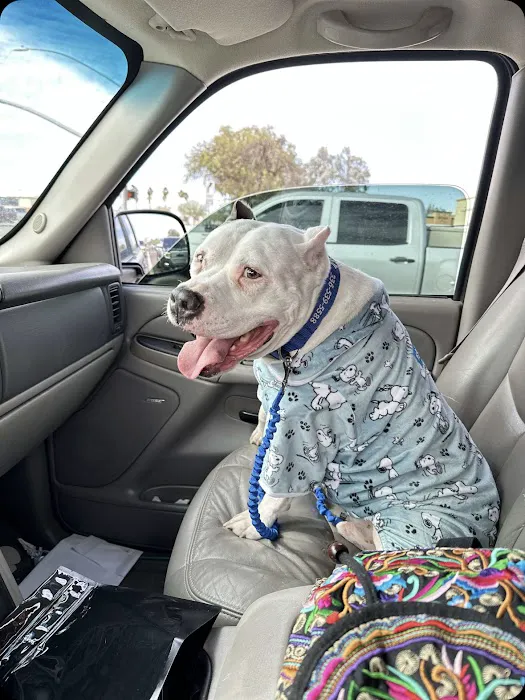 Arizona Veterinary Emergency & Critical Care Center Picture 4