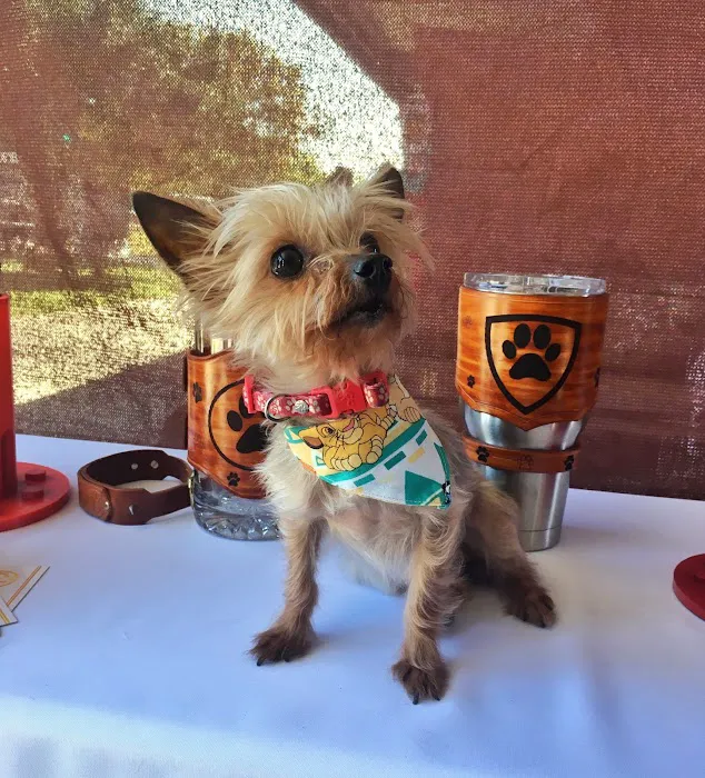 Arizona Veterinary Emergency & Critical Care Center Picture 8