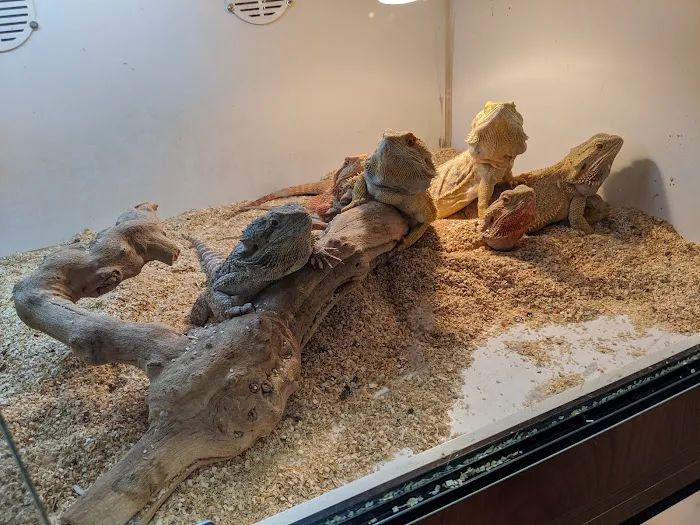 Burbank Scales 'N' Tails Picture 5