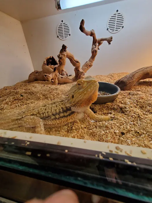 Burbank Scales 'N' Tails Picture 8