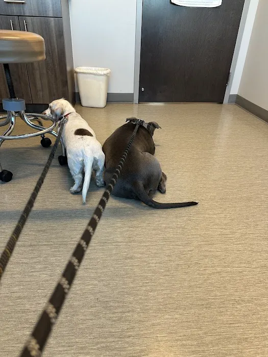Canyon State Veterinary Specialties Picture 10