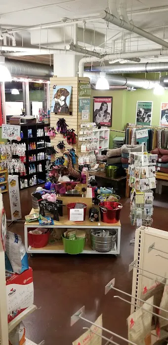 Tailwaggers West Hollywood Picture 4
