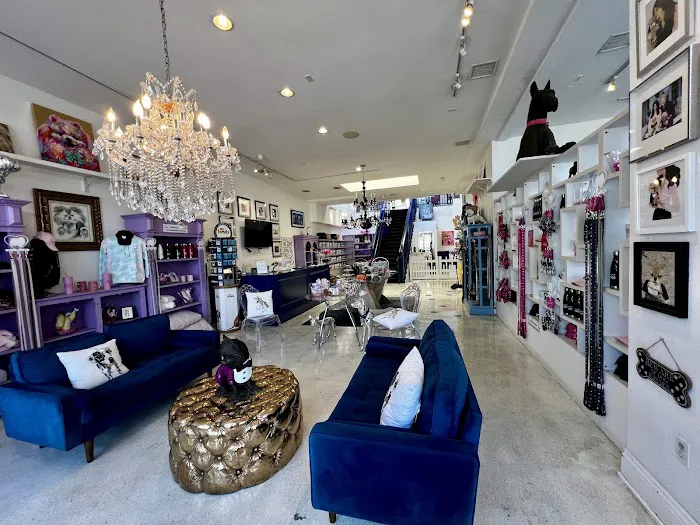 Vanderpump Pets Picture 2