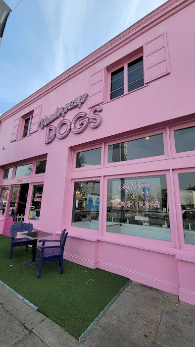 Vanderpump Pets Picture 1