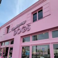 Vanderpump Pets ico