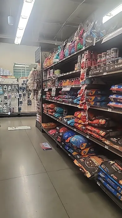 Petco Picture 1