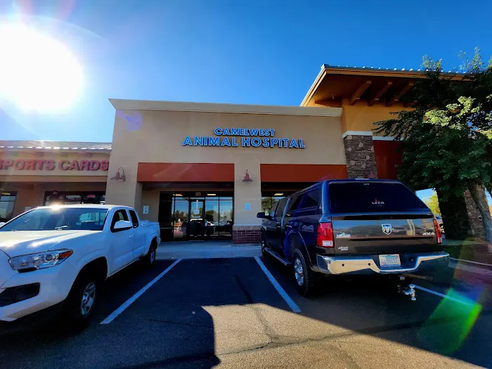 Camelwest Animal Hospital Picture 9