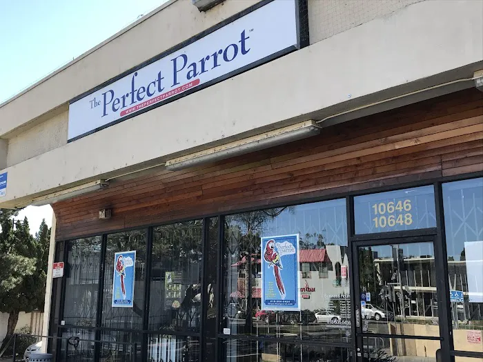 The Perfect Parrot Picture 2