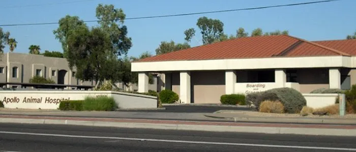 Apollo Animal Hospital Picture 9