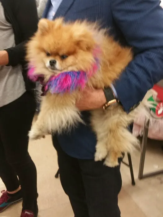 Petco Picture 7