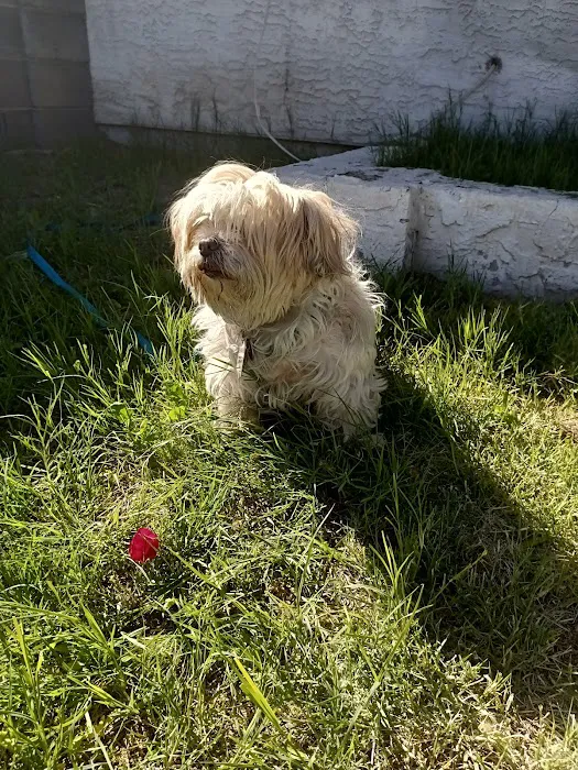 Catalina Animal Hospital Picture 7