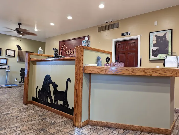 Catalina Animal Hospital Picture 4