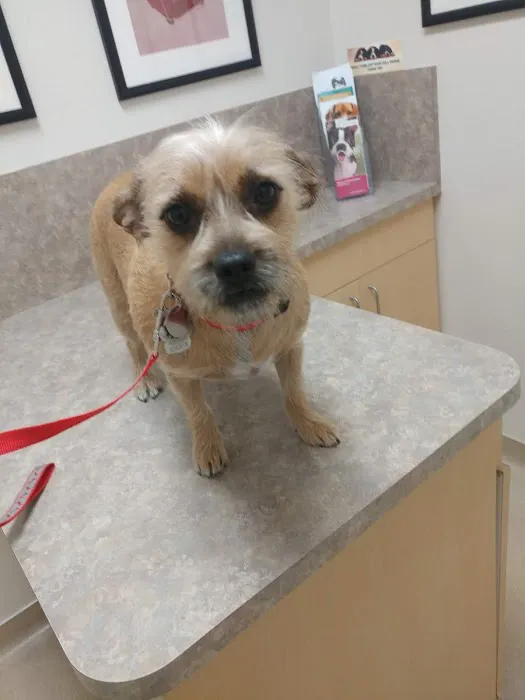 Acoma Animal Hospital Picture 5