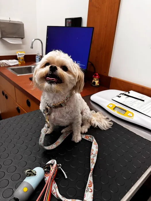 PetSmart Veterinary Services - Phoenix (Metro Center) Picture 1