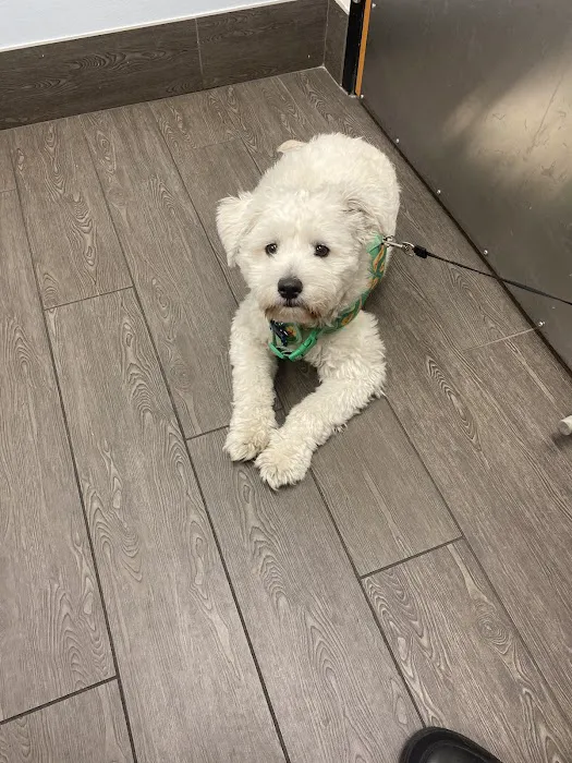 PetSmart Veterinary Services - Phoenix (Metro Center) Picture 4