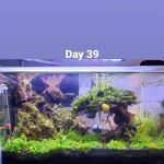 Nature Aquarium