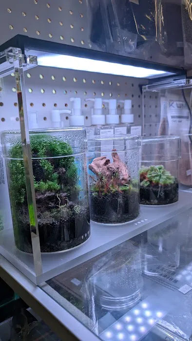 Nature Aquarium Picture 5